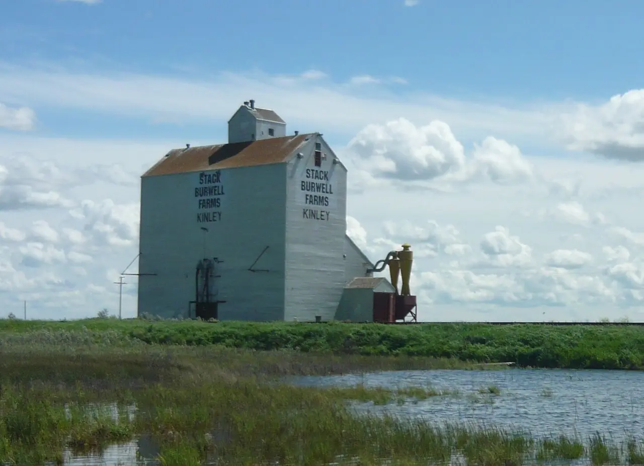 The grain elevator, 2011
